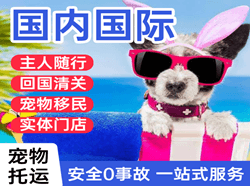 锦州湾机场快递国际宠物托运 【国